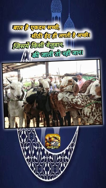 मीठी वाली ईद   #shorts #shortsfeed #bakraeid #meethieid #ShriKaviKumar