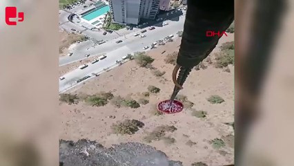 İzmir'de Aliağa ve Buca'da orman yangını