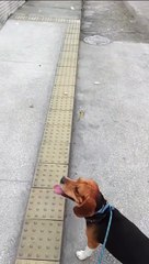 VÍDEO: Piso tátil vira armadilha para deficientes visuais em bairro nobre de Salvador