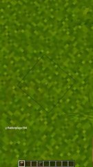 How high can you survive in Minecraft#minecraft