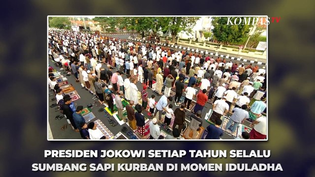 Deretan Sapi Kurban Presiden Jokowi dari Tahun ke Tahun di Momen Iduladha - INFOGRAFIS