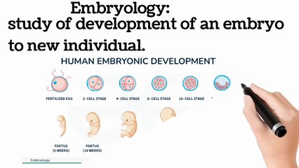 Major branches of Biology in Urdu / Hindi| lec # 4 (ii) | chp #1 | Introduction to Biology