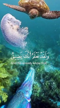 وَلَقَدْ نَعْلَمُ أَنَّكَ يَضِيقُ صَدْرُكَ بِمَا يَقُولُونَ #quran #shots