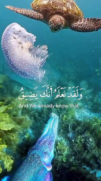 وَلَقَدْ نَعْلَمُ أَنَّكَ يَضِيقُ صَدْرُكَ بِمَا يَقُولُونَ #quran #shots