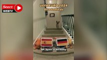 Steph Furry isimli köpek, bu kez EURO 2024 için sahneye çıktı