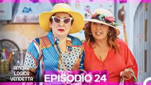 Amore Logica Vendetta Episodio 24