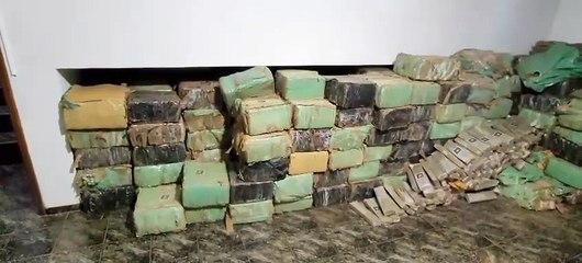PRF apreende 7 toneladas de maconha na PR-218; a droga estava em uma carga de ração -