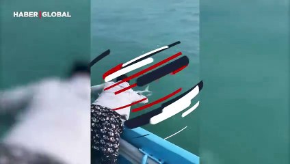 Filmlerde bile rastlanılmayacak olay gerçek oldu: Kocaman balığı elleriyle yakalayıp poz verdi