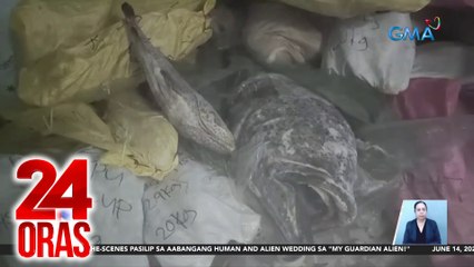 Nasa P100-M halaga ng frozen goods, nabisto sa 10 cold storage na ikinubli sa mga pekeng pader | 24 Oras
