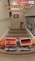 Devler Ligi'nin kazananını bilmişti! Fenomen köpek, EURO 2024 şampiyonu da tahmin etti