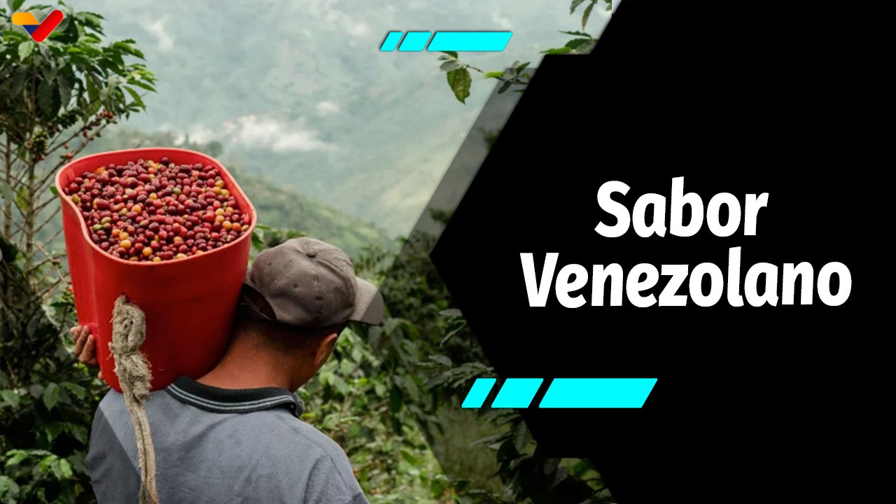 Al Aire | Café La Chapola presente en el III Encuentro Internacional del Café 2024