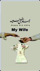 Islamic video very nice