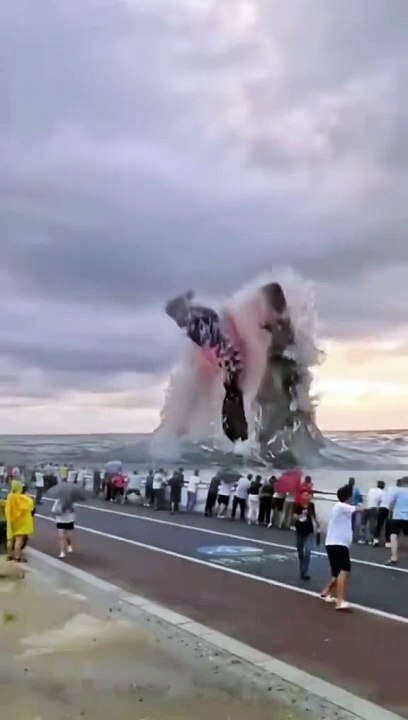 River monster shark