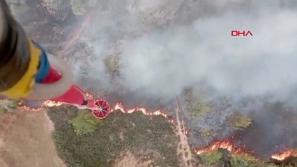 Milas’ta orman yangını