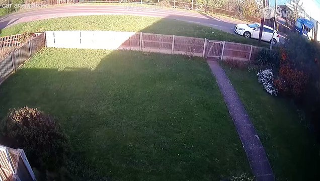 Drink driver takes out lamppost and ploughs through garden fence