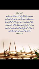 وہ گناہوں کی آلودگی سے پاک صاف ہو جاتا ہے