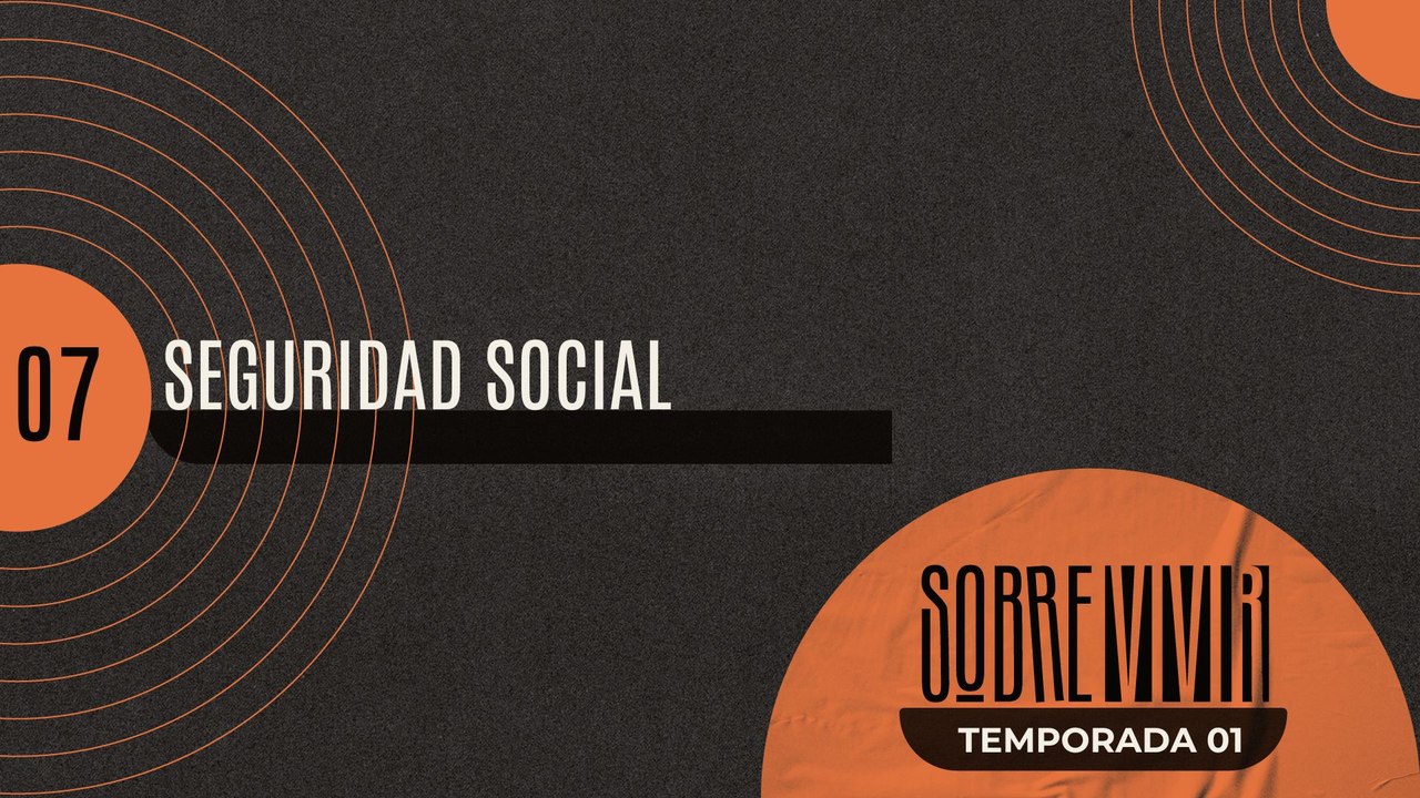 07 SEGURIDAD SOCIAL