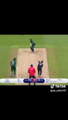 Icc Word Cup Pak VS NEW Heights part 2