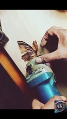 Funny babay kids cartoon video