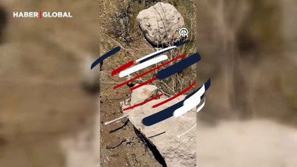 Avladığı balığı kıyıya taşıyan yılan cep telefonuyla görüntülendi