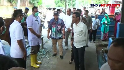 Jelang Iduladha, Pemprov DKI Jakarta Salurkan 261 Sapi Kurban