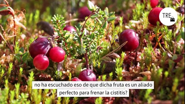 Arándanos rojos para la cistitis: ¿remedio casero o un mito?