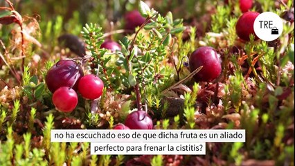 Arándanos rojos para la cistitis: ¿remedio casero o un mito?