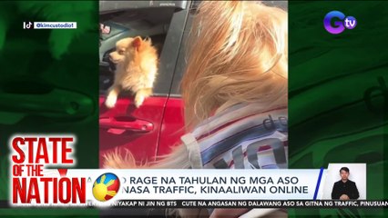 State of the Nation Part 2 & 3: 'Road rage' ng fur babies; Health benefits ng pagiging tatay, atbp.