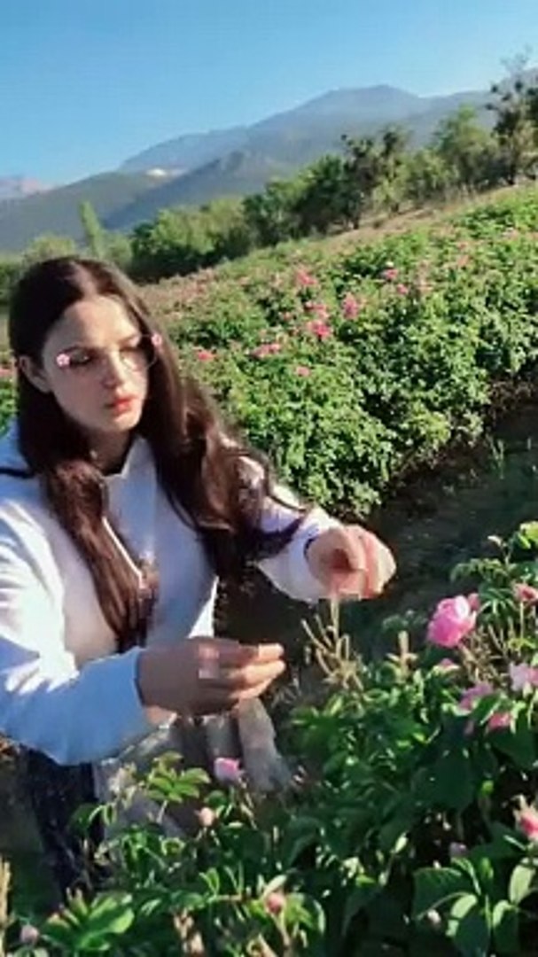 ⁣Amazing and enjoy out side trending love mashup 2024,love mashup 2024,love mashup,valentine love mas
