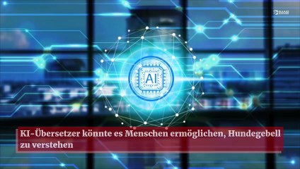 KI-Übersetzer könnte es Menschen ermöglichen, Hundegebell zu verstehen