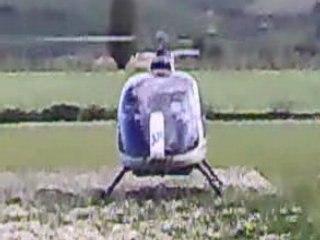 Giallo e il suo modello