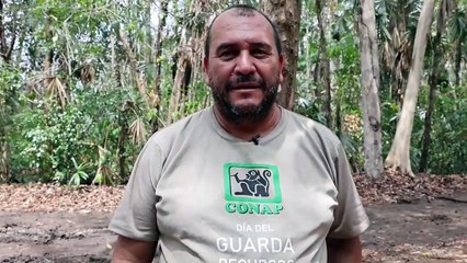 62 días de incendios en la selva maya de Guatemala