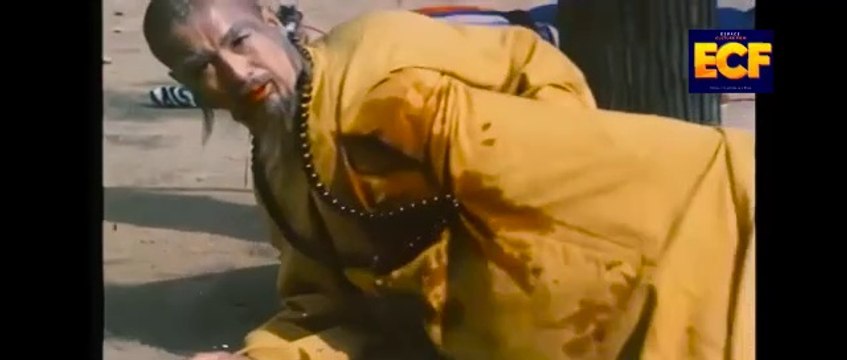 Kung Fu Shaolin - Un combat à mort pour l'honneur