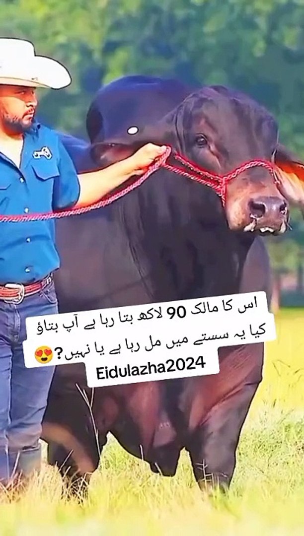 Comedy
