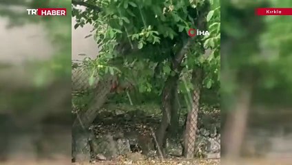 Kırklareli'nde dolu tarım alanları, araç ve evlere zarar verdi