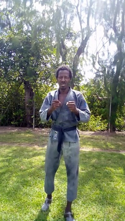 Le karaté d himmoris Martinica