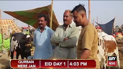 Watch "Qurban Meri jan"Eid Day 1 at  04:03 PM |  Eid ul Azha Special | PROMO