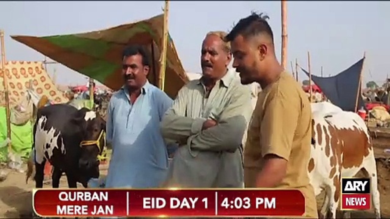 Watch "Qurban Meri jan"Eid Day 1 at  04:03 PM |  Eid ul Azha Special | PROMO