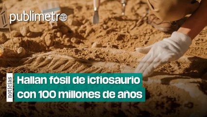 Tractorista encontró huesos de ictiosaurio en un campo de la región de Samara