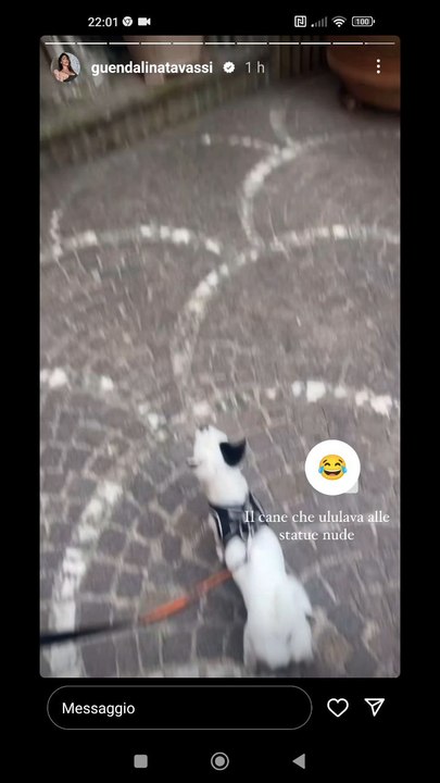 rocky cane maniaco