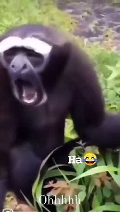 Thanks for watching funny video 
