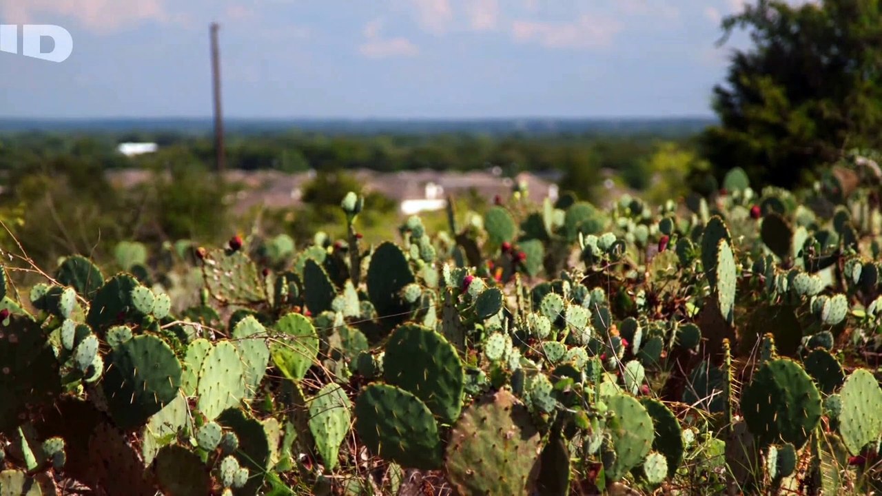 Amour interdit Amour ou Mensonges