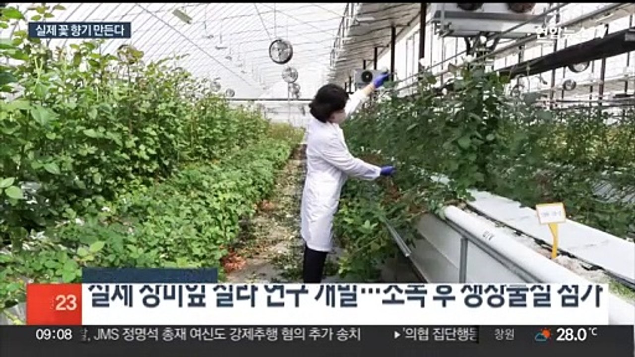 세계 최초 식물세포 배양체 유도 성공…화장품 국산화 속도