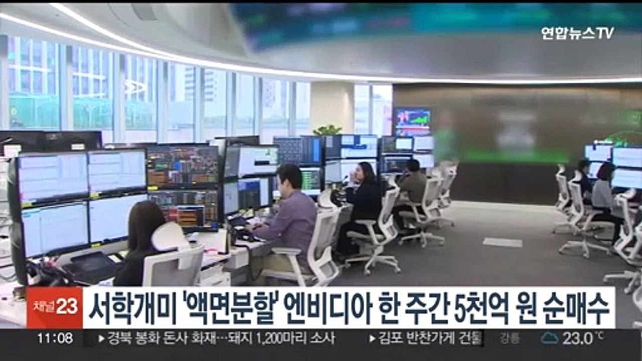 서학개미 '액면분할' 엔비디아 한주간 5천억원 순매수