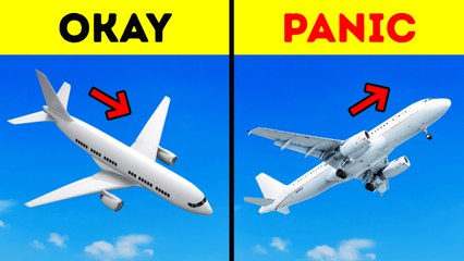 Insider Travel Secrets Exposed | Your Next Trip Will Never Be the Same!