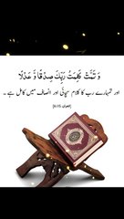 Key Verses from the Quran 📖