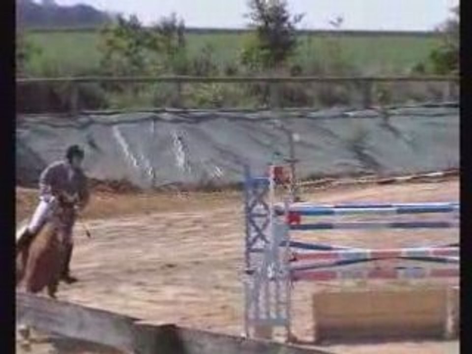 NidjiWeb