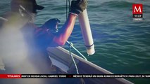 Monitoreo acústico se usa como herramienta para la búsqueda de vaquitas marinas