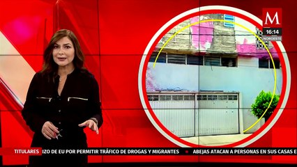 Altas temperaturas y sequía afecta a diversas especies de animales en Hidalgo