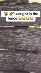 This pain men can understand 